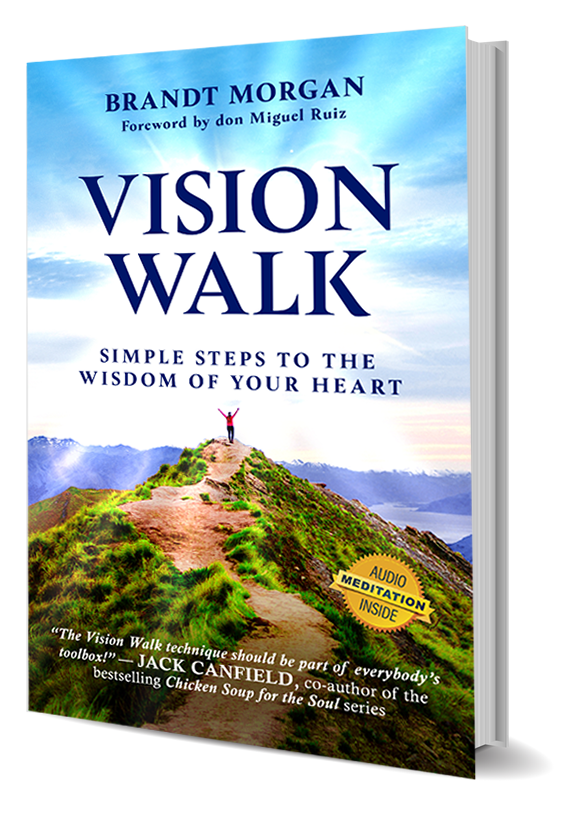 Brandt Morgan, Vision Walk